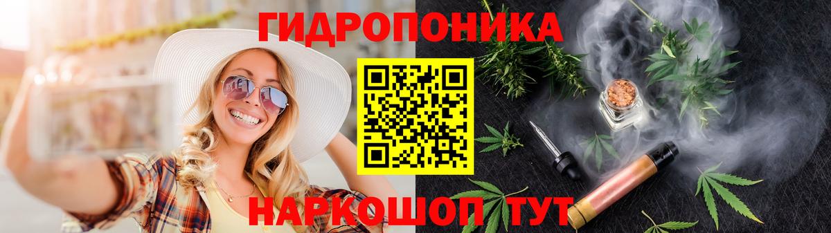 Конопля план Ставрополь